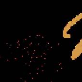 NamanModiDigital Namanmodi